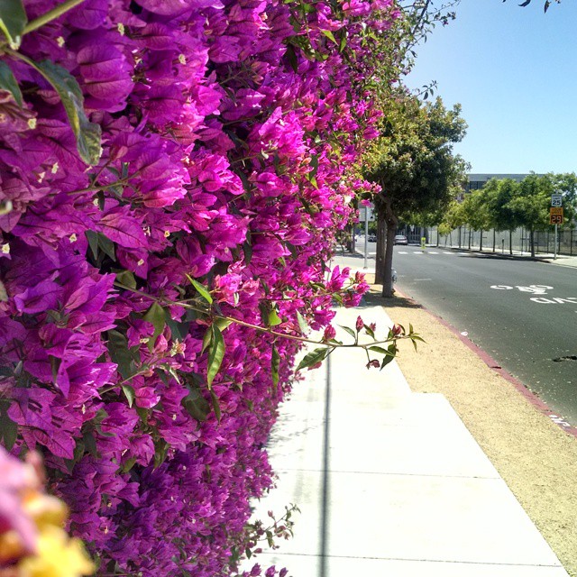 Posts from June 8, 2015