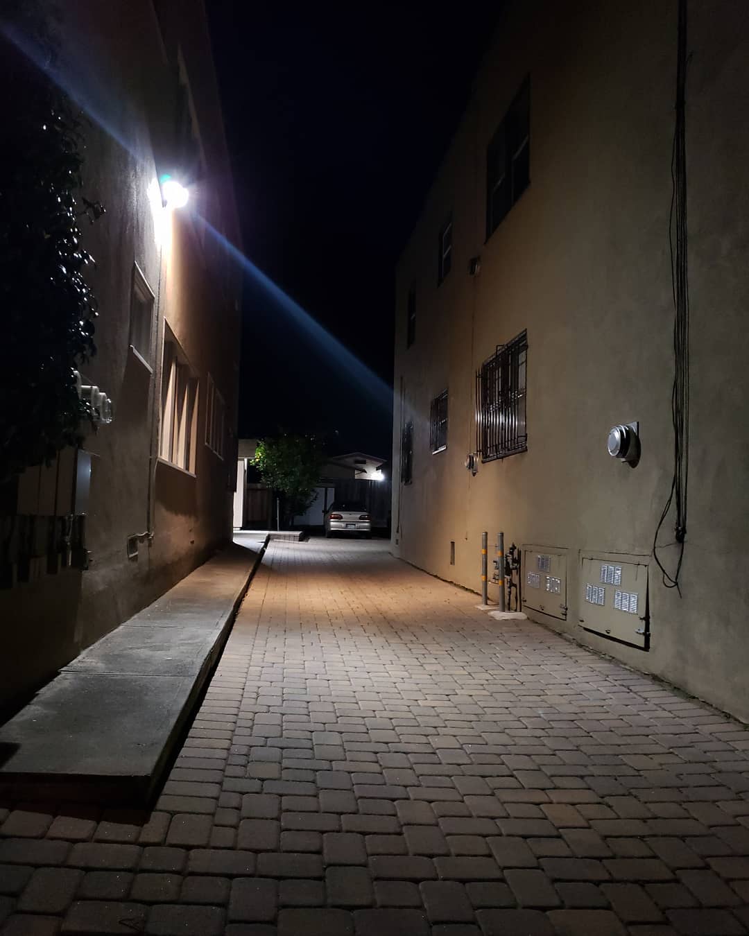 Posts from March 18, 2019