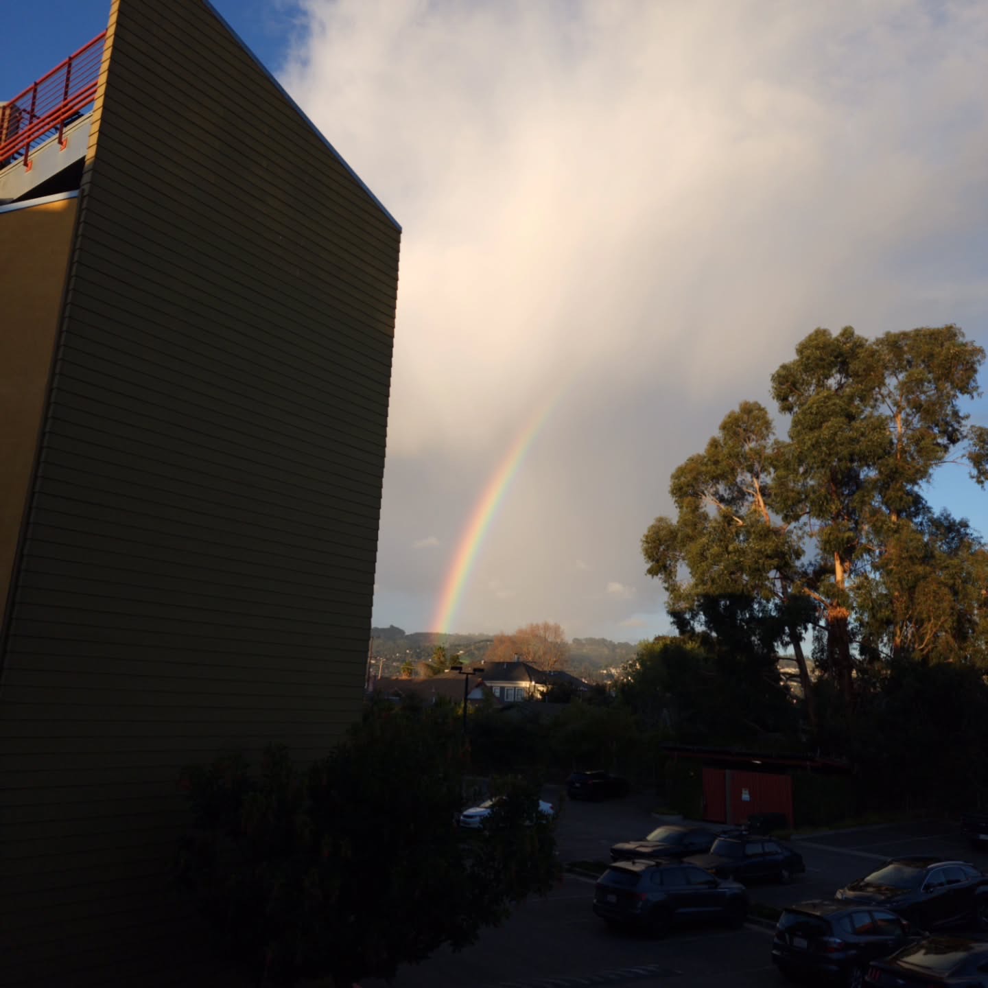 Rainbow 🌈