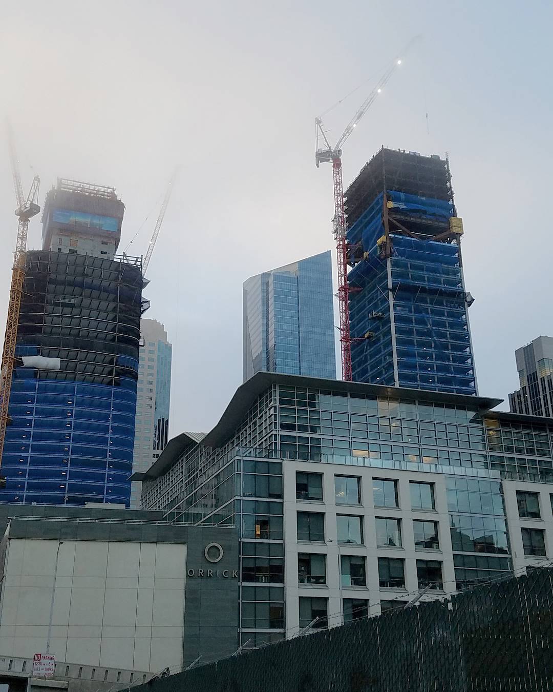 Cranes and fog