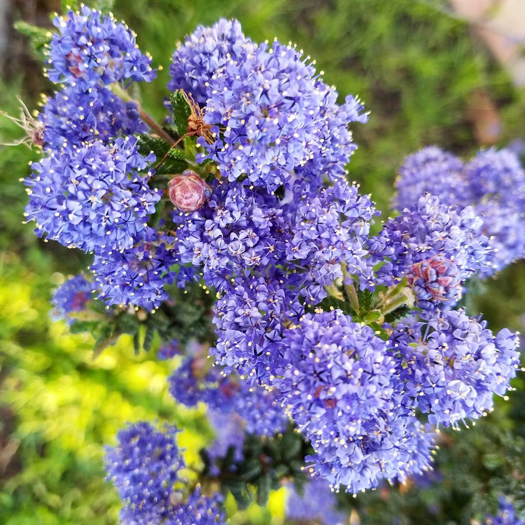 Spring!