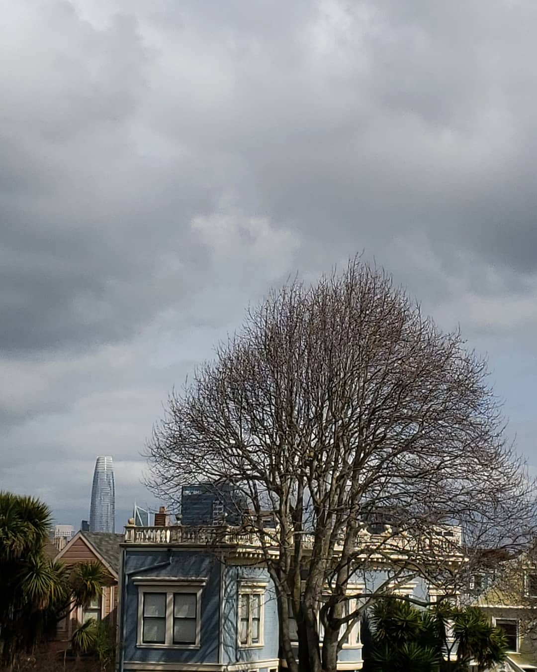 Posts from March 1, 2019