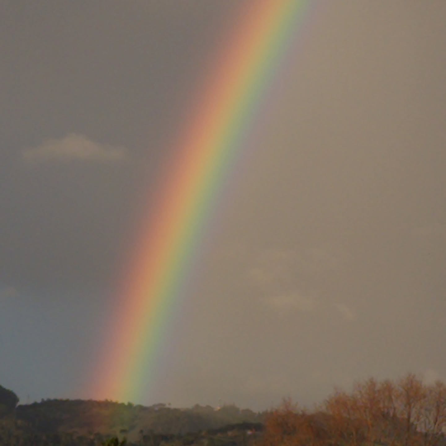 Rainbow 🌈
