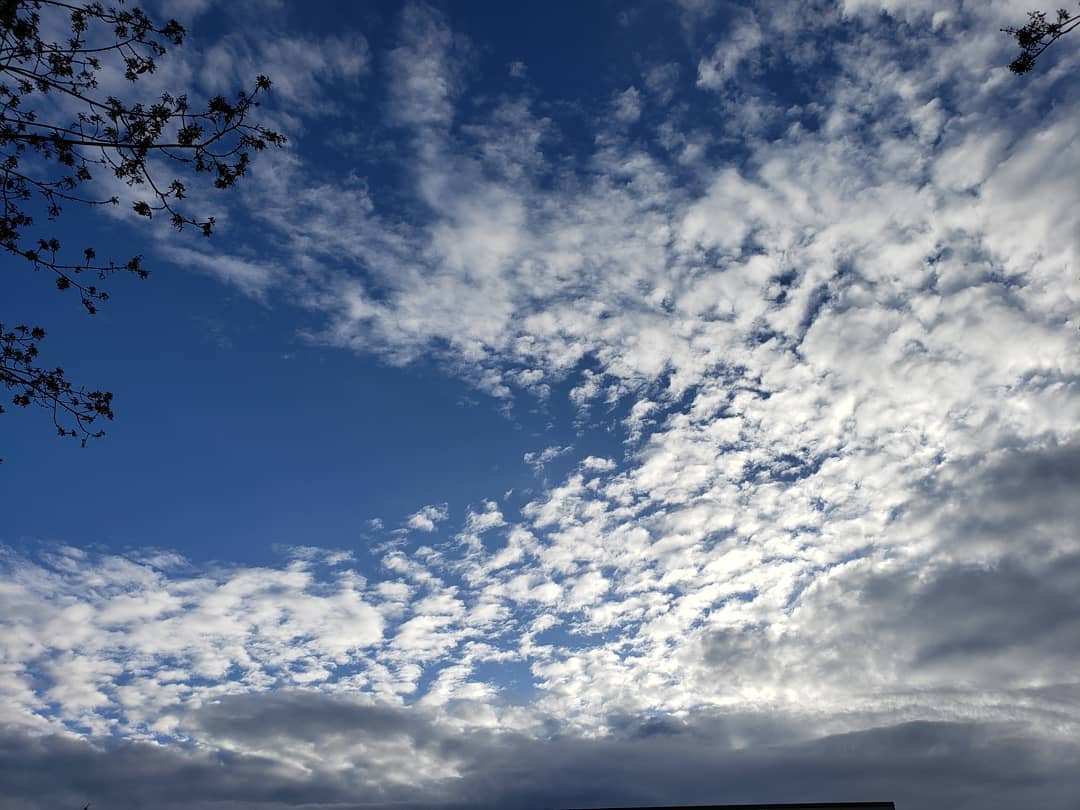 Posts from April 4, 2019