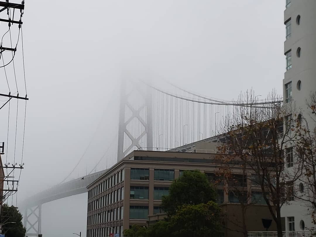 Posts from January 8, 2019