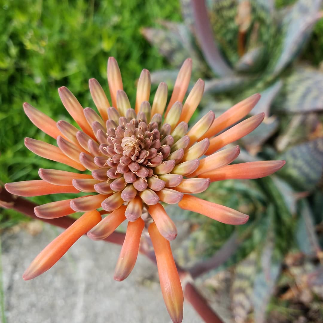 Posts from March 18, 2018