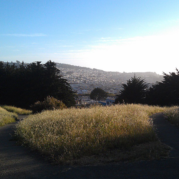 The view is okay
