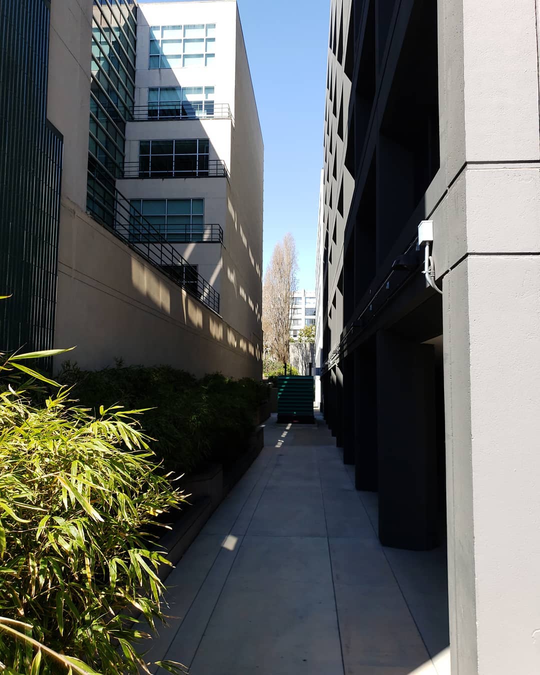 Posts from March 18, 2019